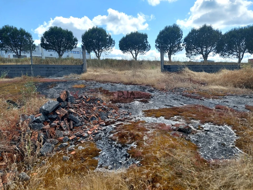 Terreno para Venda em Mangualde, Mesquitela e Cunha Alta Foto 4