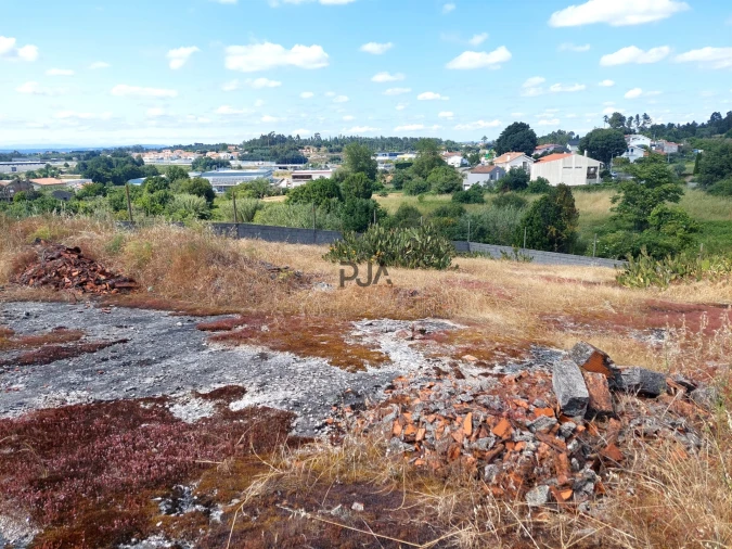Terreno para Venda em Mangualde, Mesquitela e Cunha Alta Foto 3