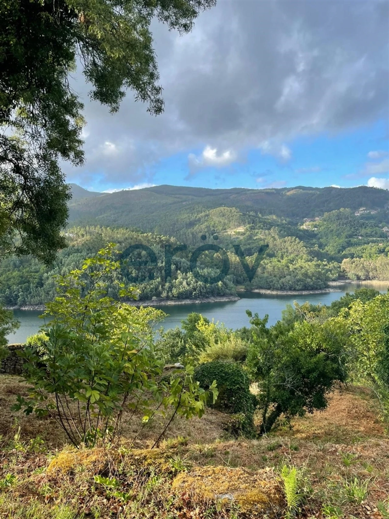 Terreno para Venda em Parada do Bouro Foto 1