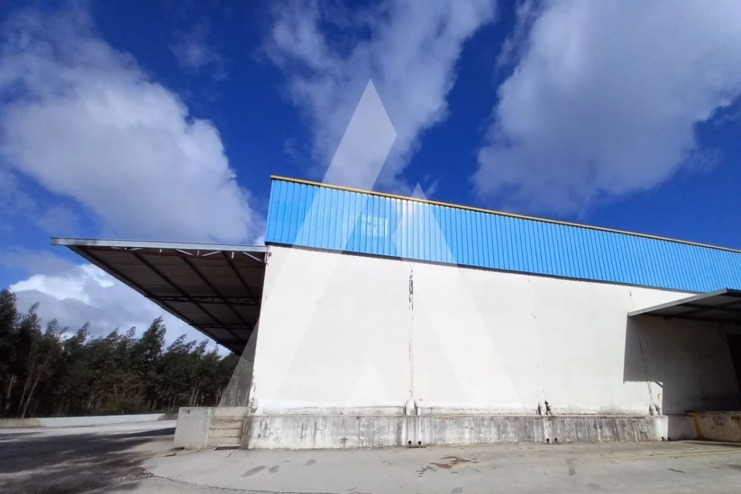 Armazém para Arrendamento em Albergaria-A-Velha e Valmaior Foto 7