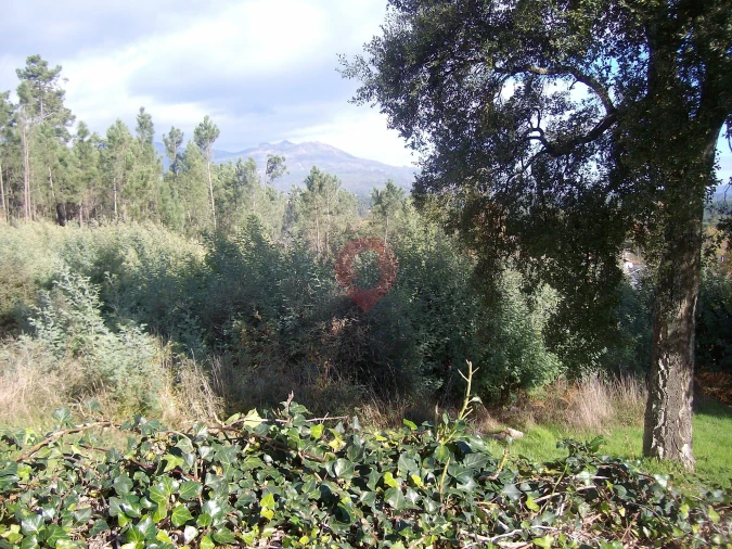 Terreno para Venda em Barbeita Foto 2