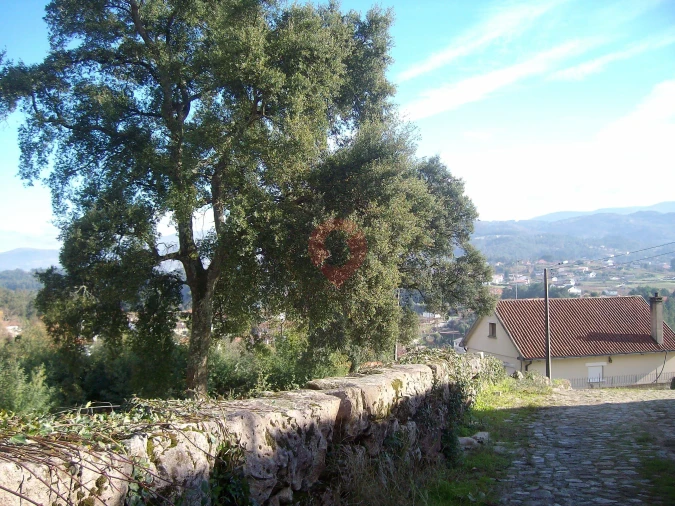 Terreno para Venda em Barbeita Foto 3