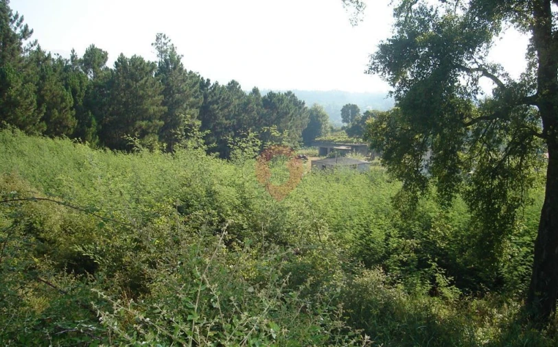 Terreno para Venda em Barbeita