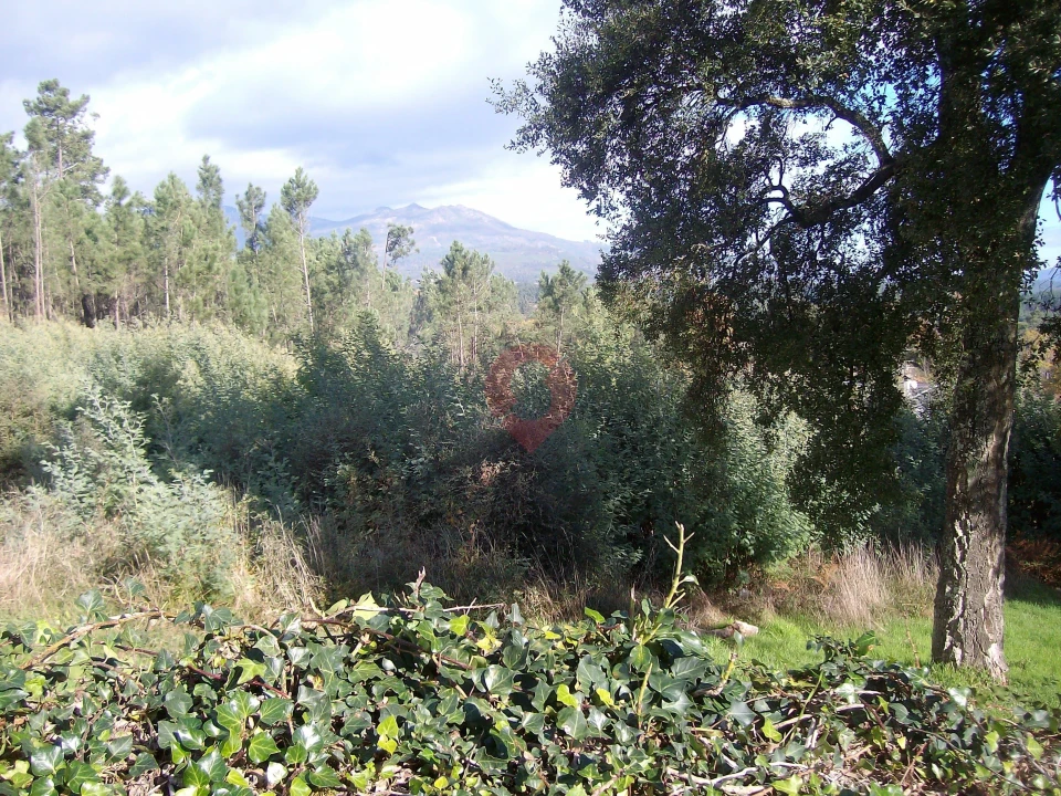 Terreno para Venda em Barbeita Foto 2