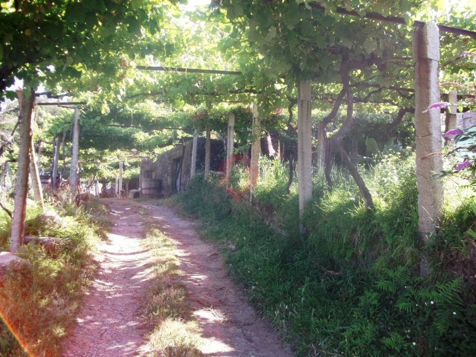 Quinta T0 para Venda em Vila e Roussas Foto 1