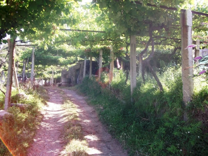 Quinta T0 para Venda em Vila e Roussas