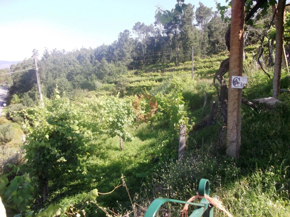 Quinta T0 para Venda em Vila e Roussas Foto 3