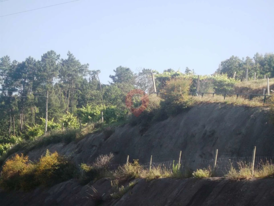 Quinta T0 para Venda em Vila e Roussas Foto 2