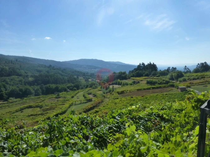 Moradia T1 para Venda em Vila e Roussas Foto 6