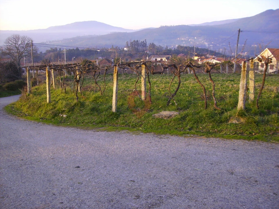 Terreno para Venda em Messegães, Valadares e Sá Foto 1