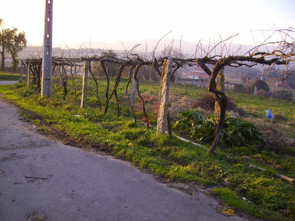 Terreno para Venda em Messegães, Valadares e Sá Foto 2