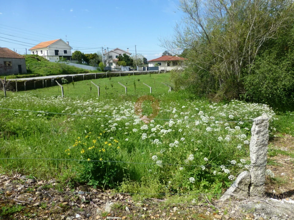 Terreno para Venda em Barbeita Foto 1