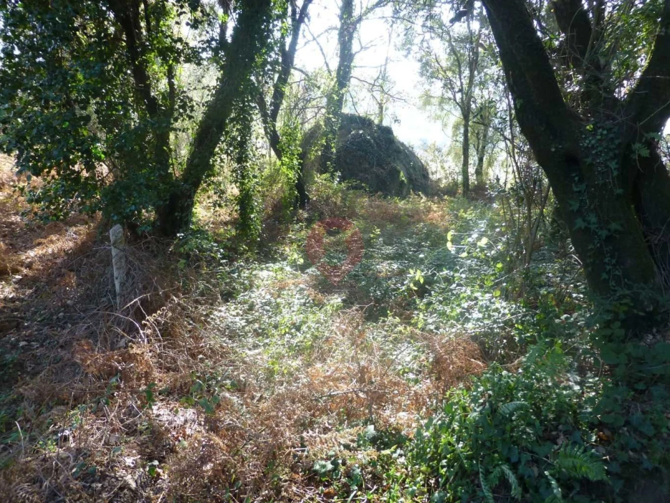 Terreno para Venda em Cambeses Foto 2