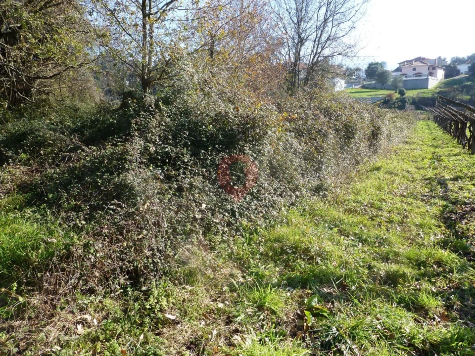 Terreno para Venda em Cambeses Foto 1