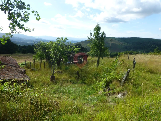 Moradia T0 para Venda em Sago, Lordelo e Parada Foto 2