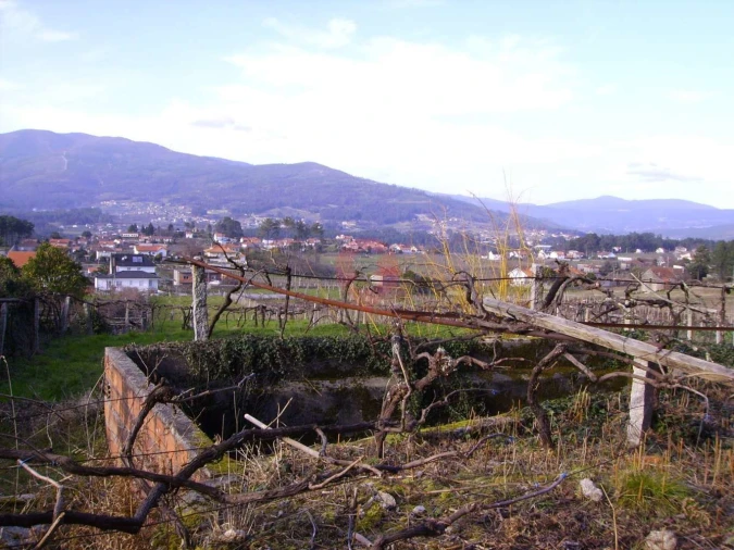 Terreno para Venda em Alvaredo Foto 3