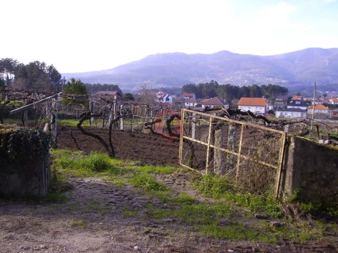Terreno para Venda em Alvaredo Foto 2