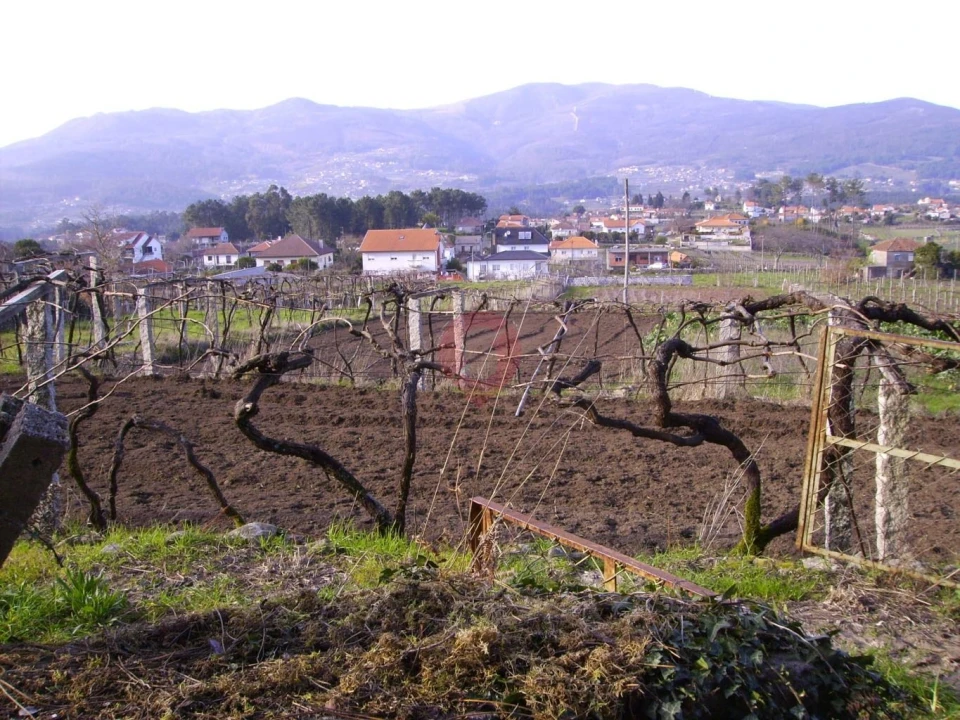 Terreno para Venda em Alvaredo Foto 1