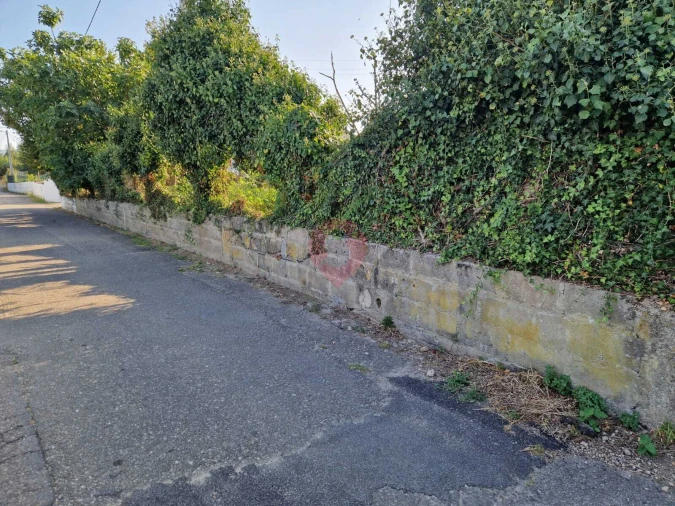 Terreno para Venda em Bela Foto 1