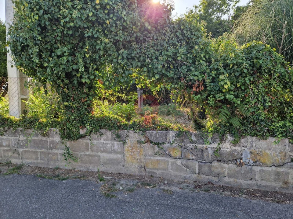 Terreno para Venda em Bela Foto 2