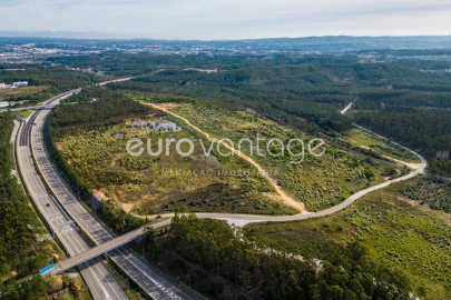 Terreno para Venda em Marrazes e Barosa