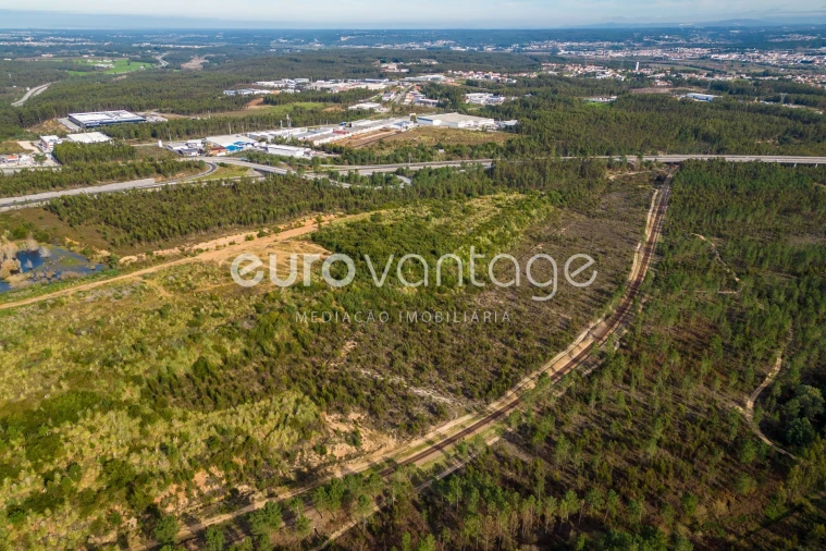 Terreno para Venda em Marrazes e Barosa Foto 14
