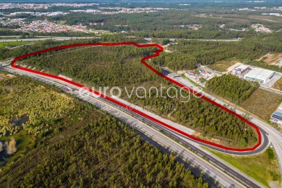 Terreno para Venda em Marrazes e Barosa