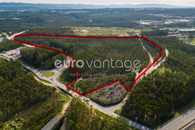 Terreno para Venda em Marrazes e Barosa Foto 14