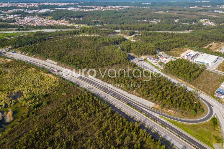 Terreno para Venda em Marrazes e Barosa Foto 3