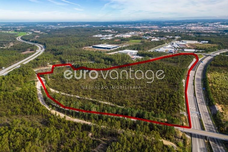 Terreno para Venda em Marrazes e Barosa Foto 5