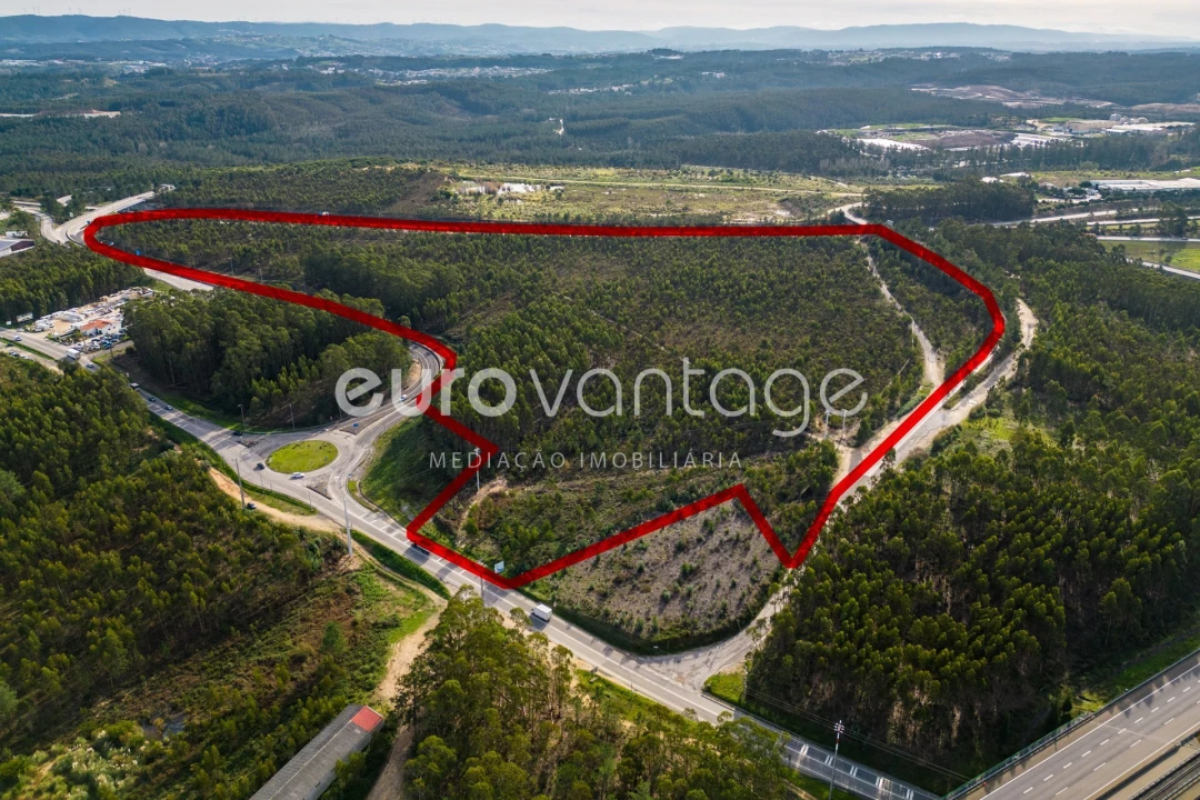 Terreno para Venda em Marrazes e Barosa Foto 14