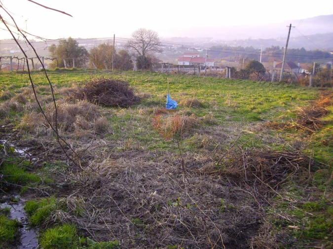 Terreno para Venda em Messegães, Valadares e Sá Foto 3