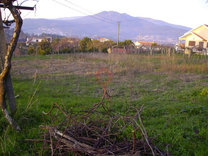 Terreno para Venda em Messegães, Valadares e Sá Foto 2
