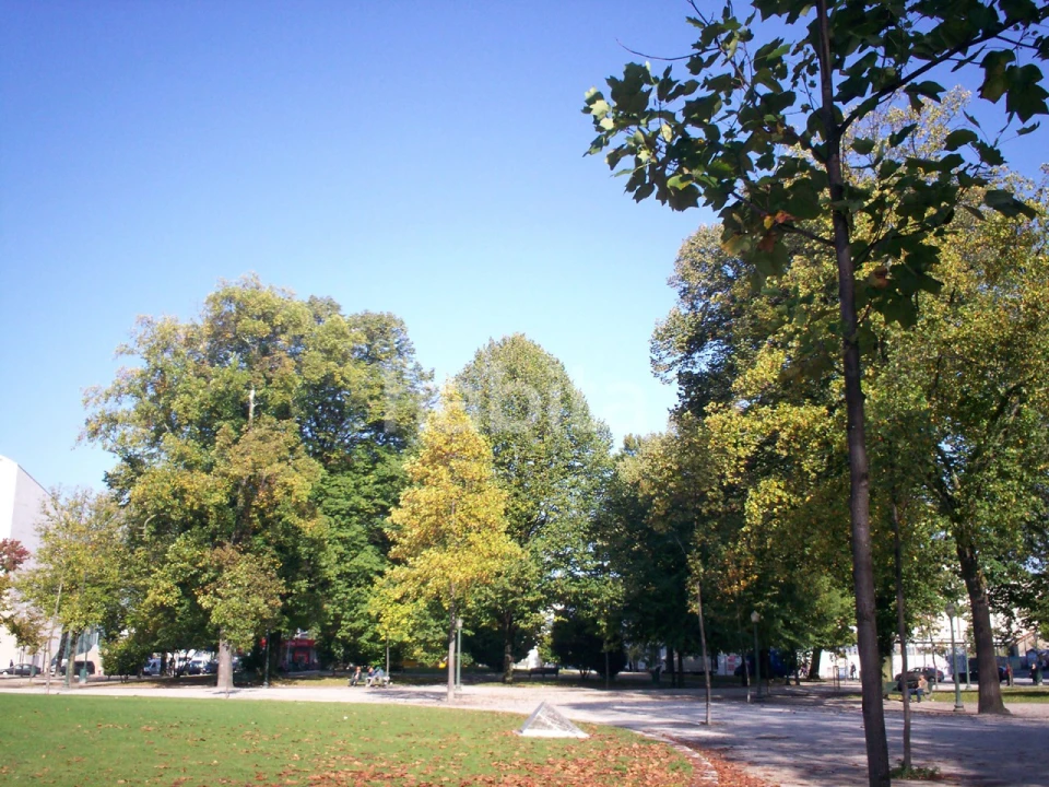 Loja para Arrendamento em Lordelo do Ouro e Massarelos Foto 19