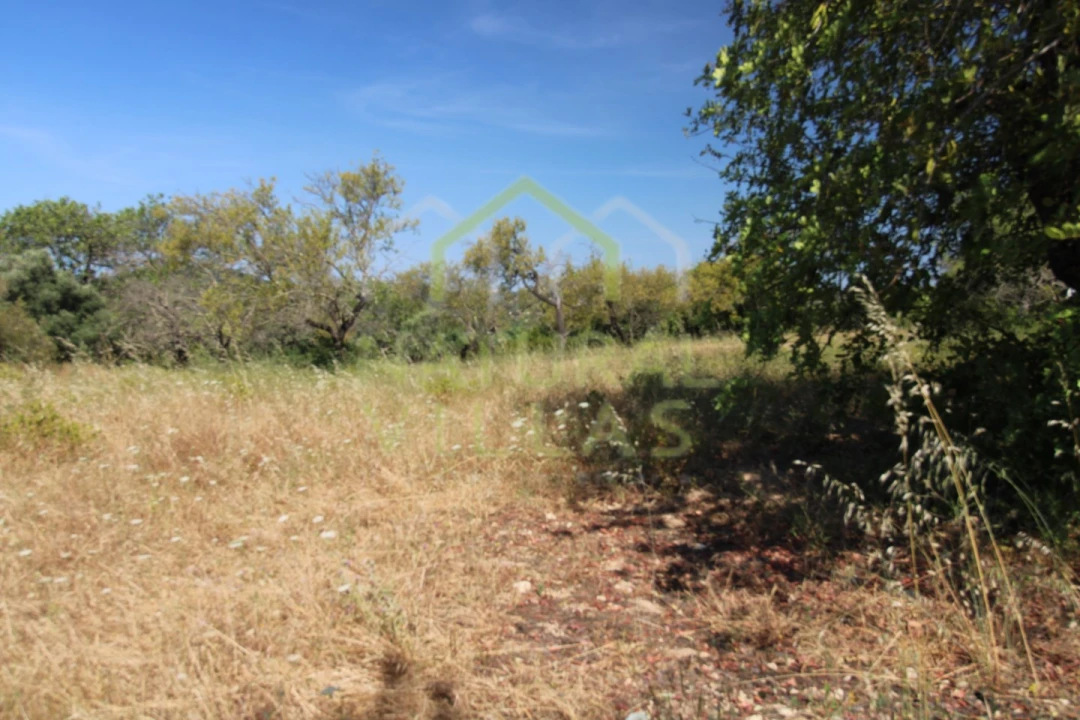 Terreno Misto para Venda em Conceição e Estoi Foto 5