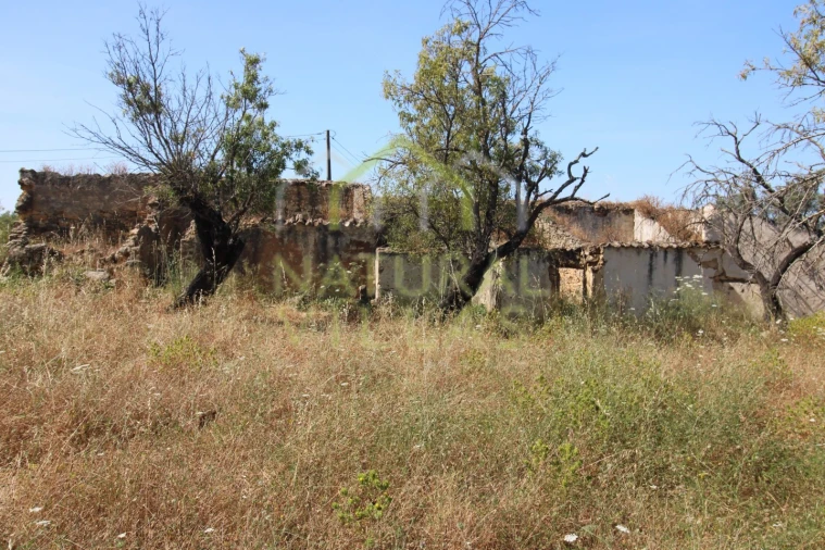 Terreno Misto para Venda em Conceição e Estoi Foto 1