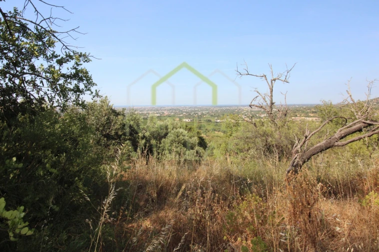 Terreno Misto para Venda em Conceição e Estoi Foto 3