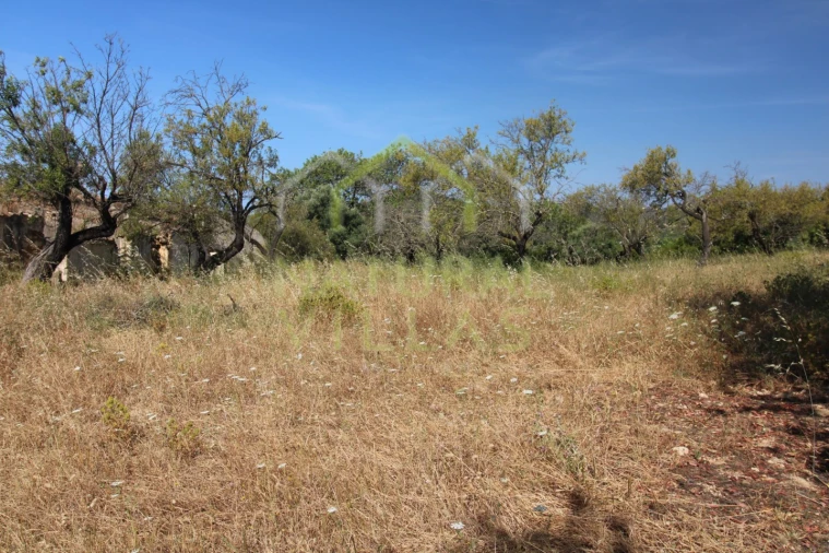Terreno Misto para Venda em Conceição e Estoi Foto 2