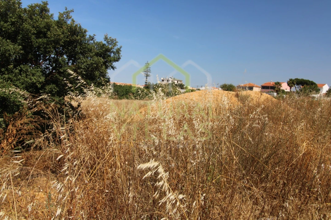 Terreno Agricola ou Rústico para Venda em Montenegro Foto 2
