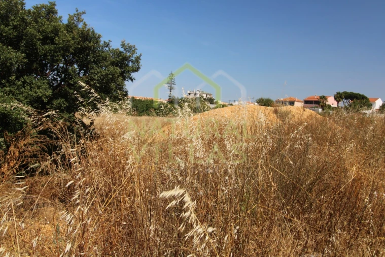 Terreno Agricola ou Rústico para Venda em Montenegro Foto 2