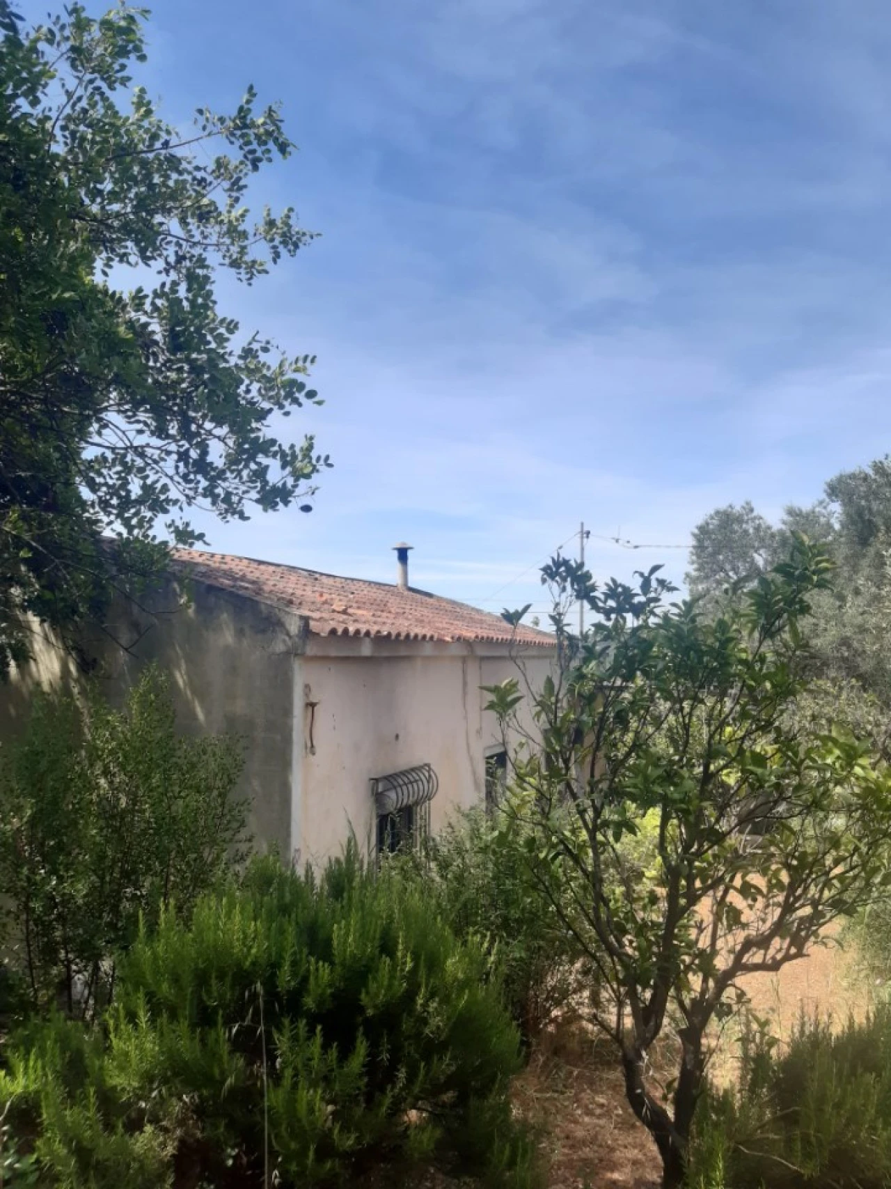 Moradia T2 para Venda em São Brás de Alportel Foto 1