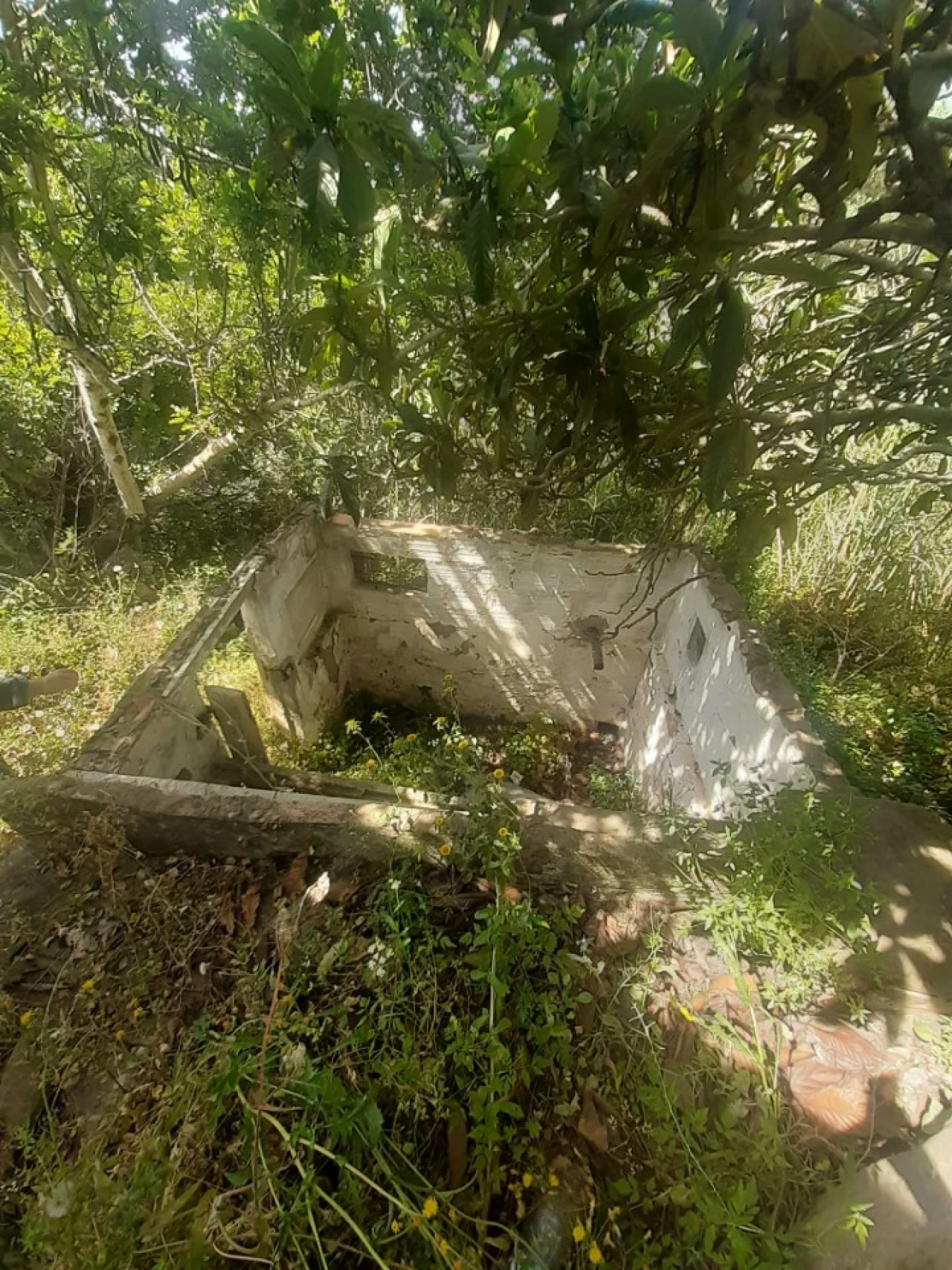 Moradia T2 para Venda em São Brás de Alportel Foto 4