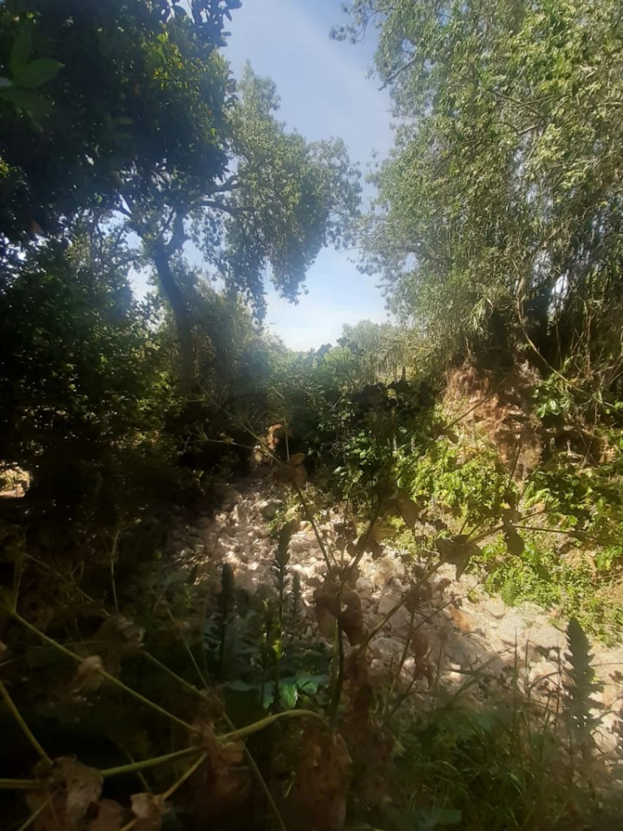 Moradia T2 para Venda em São Brás de Alportel Foto 9