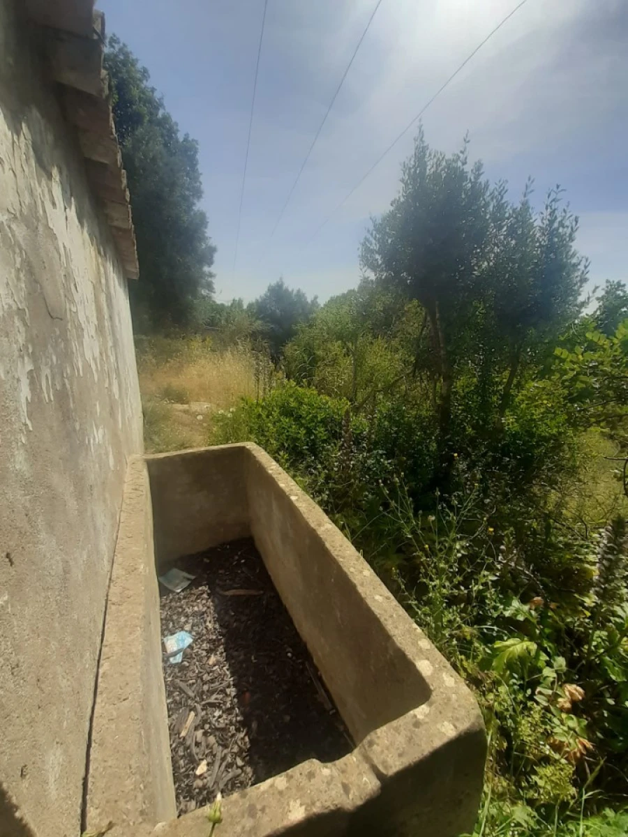 Moradia T2 para Venda em São Brás de Alportel Foto 3