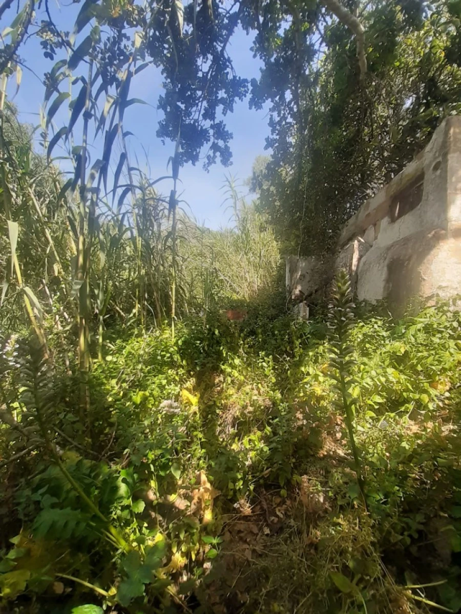 Moradia T2 para Venda em São Brás de Alportel Foto 5