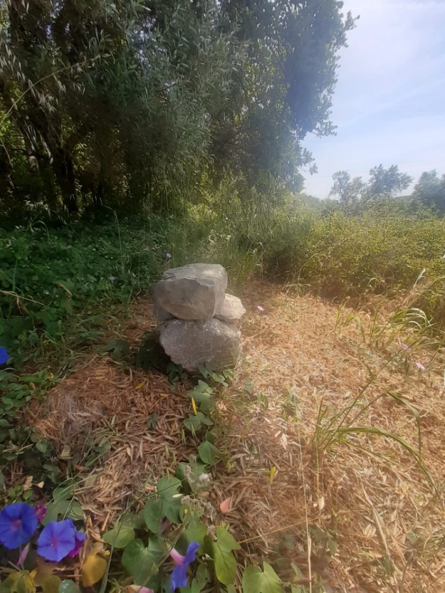 Moradia T2 para Venda em São Brás de Alportel Foto 7