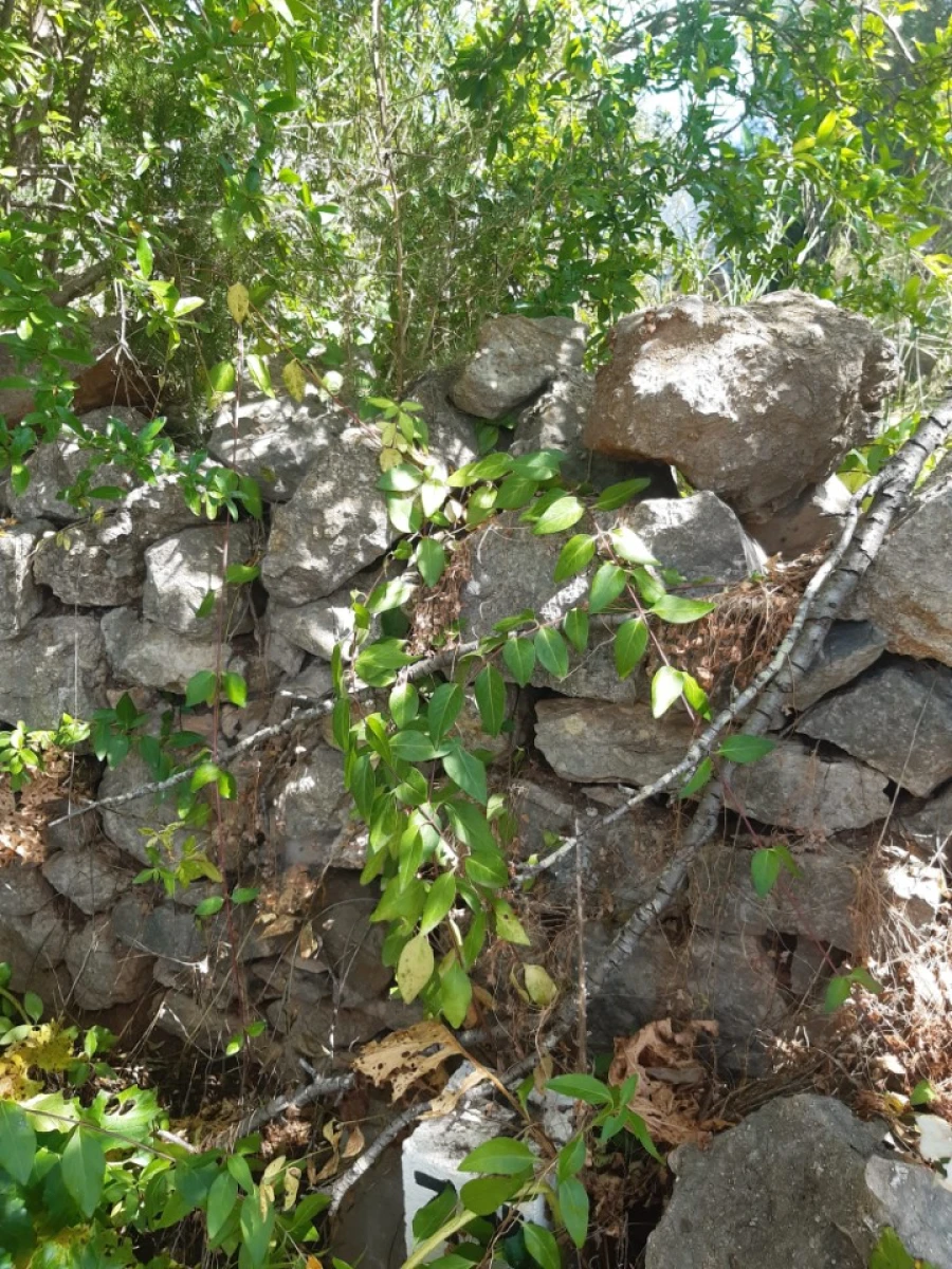 Moradia T2 para Venda em São Brás de Alportel Foto 10