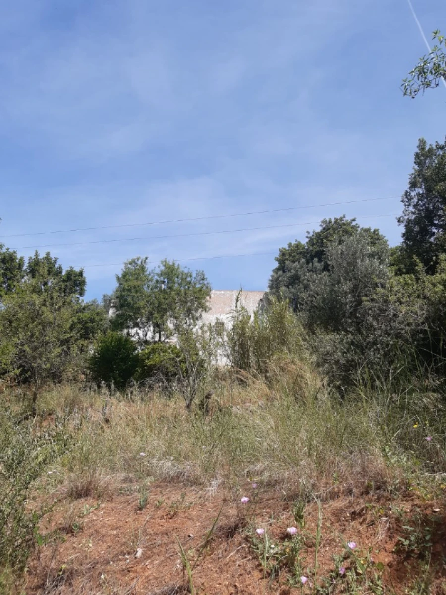 Moradia T2 para Venda em São Brás de Alportel Foto 11