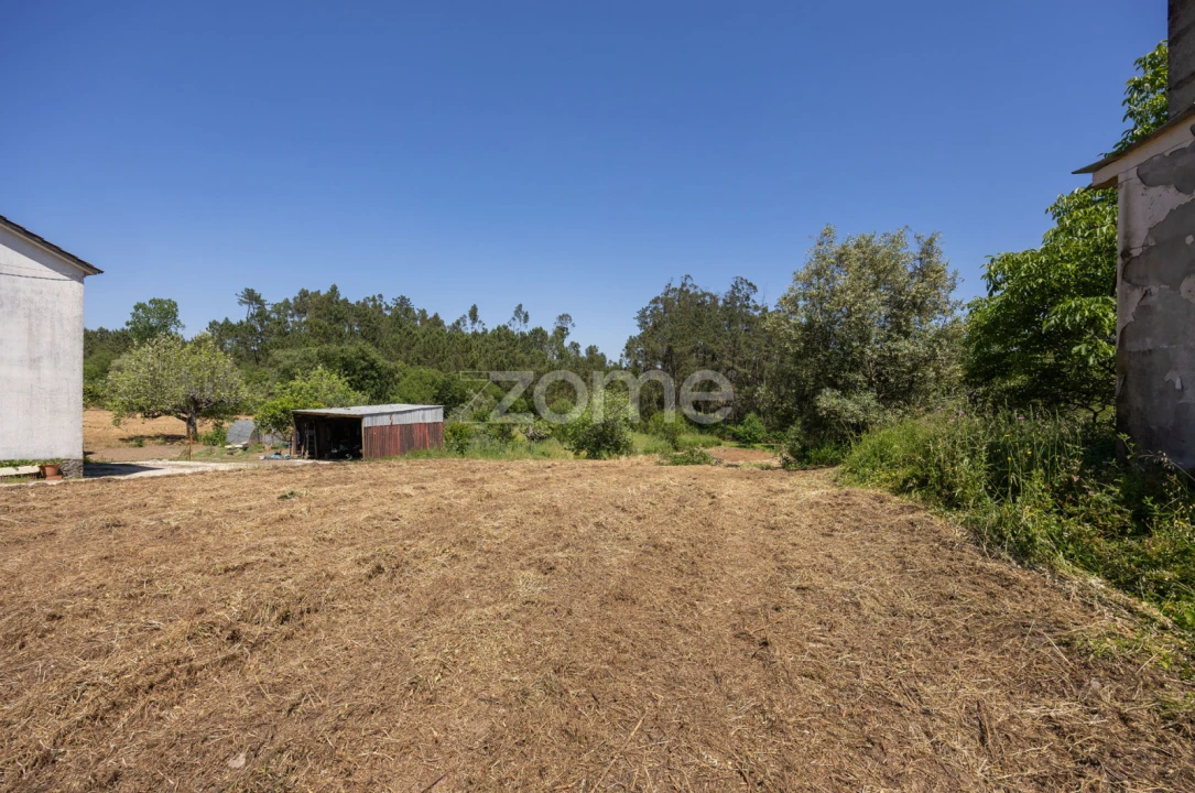 Moradia T1 para Venda em Santiago e São Simão de Litém e Albergaria dos Doze Foto 12