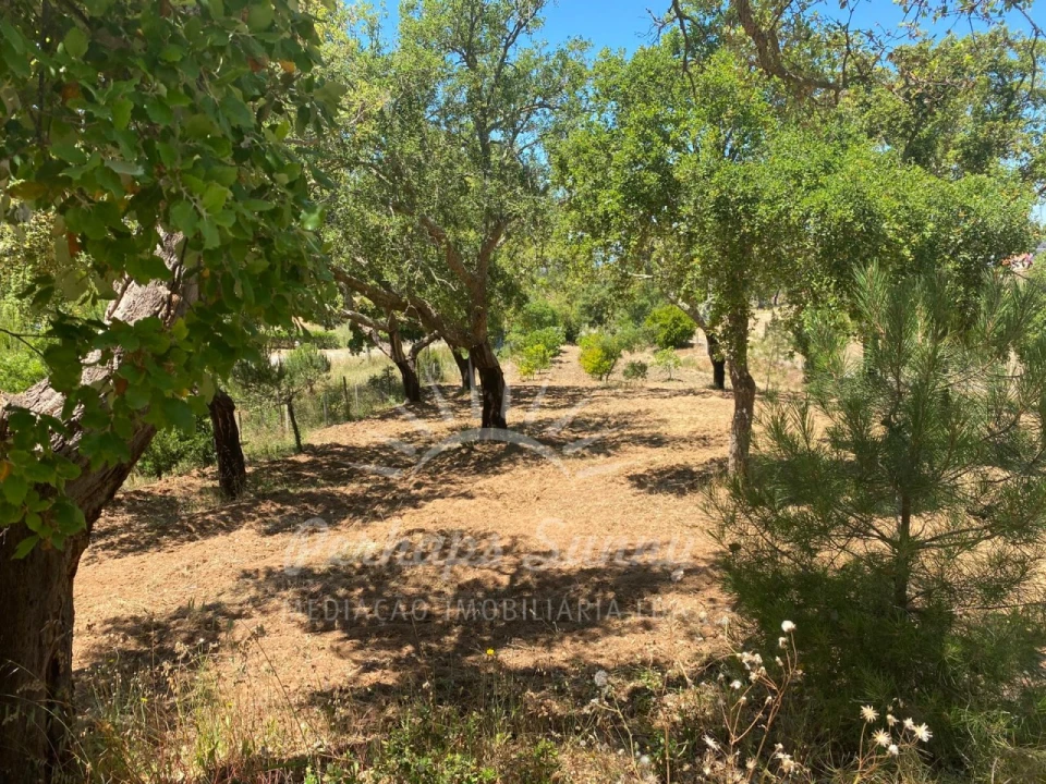 Quinta T3 para Venda em Melides Foto 8